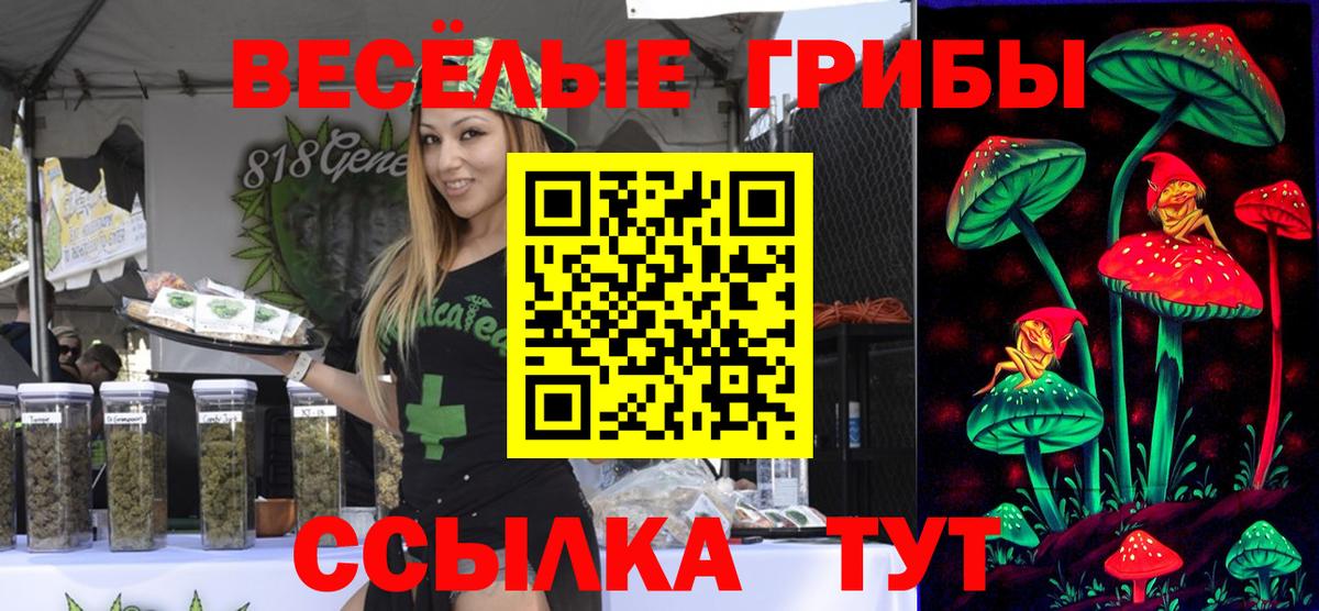 Белово  Псилоцибиновые грибы ЛСД  Вход с VPN  Галлюциногенные грибы мицелий 